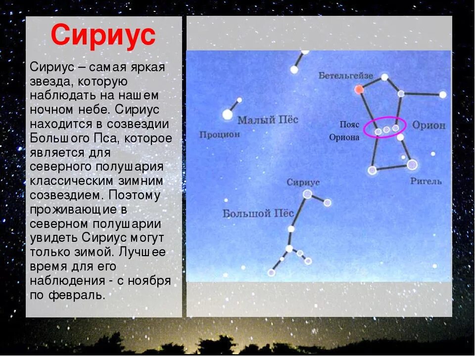 К какому созвездию относится сириус 2 класс