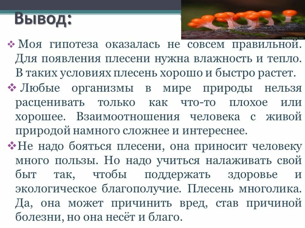 Что для плесени необходимы определенные условия. Плесень заключение. Вывод о плесени. Вывод по плесени. Гипотеза про плесень.