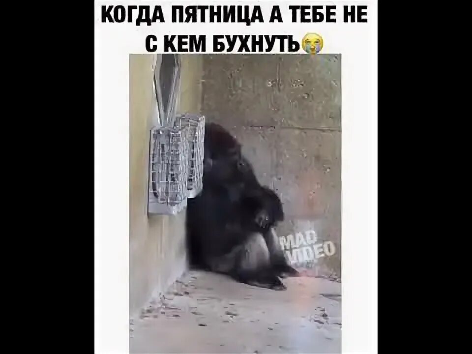 А я бухну и забуду о тебе. Не с кем бухнуть. Когда не с кем выпить. Пятница а выпить не с кем. Нескем бухать.