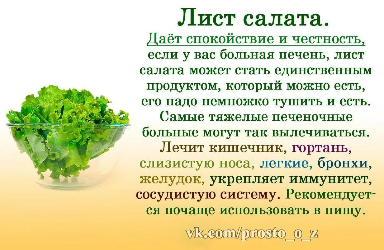 Сколько можно есть салата. Чем полезны листья салата. Лист салата полезные свойства. Чем полезен салат листовой. Полезные свойства салата листового.