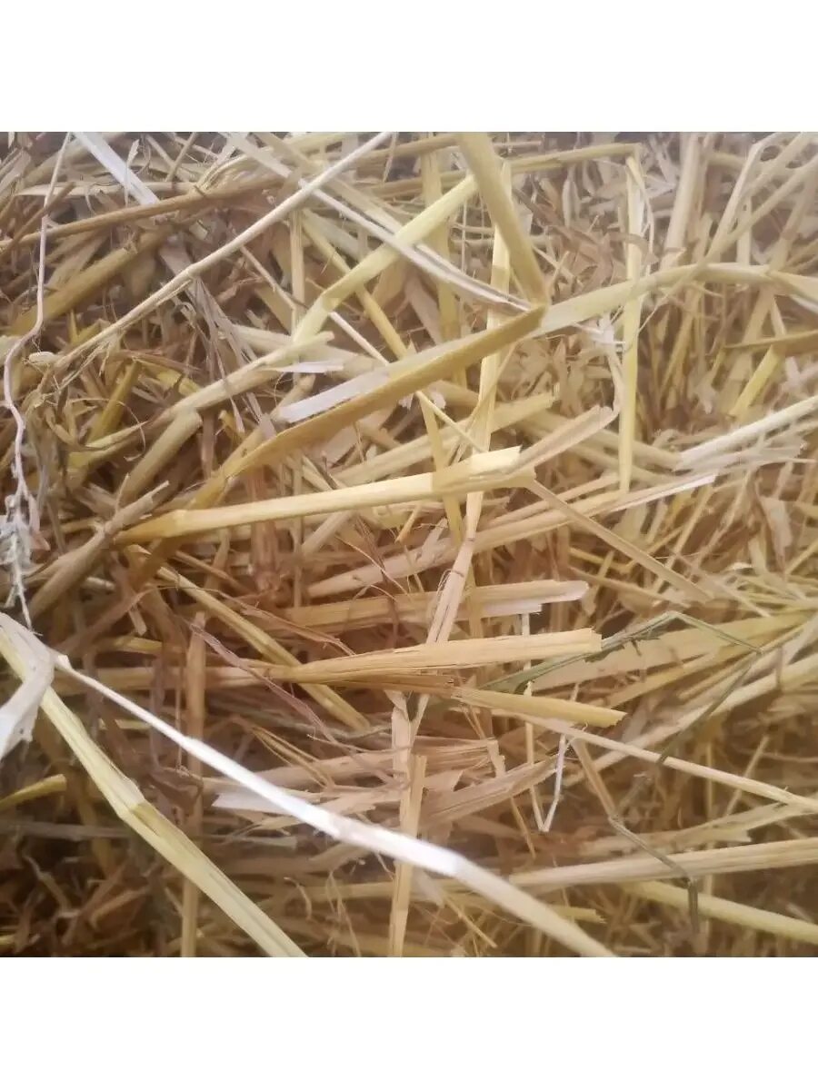 Какую солому используют