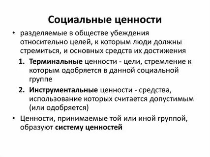 Что такое социальные общественные ценности
