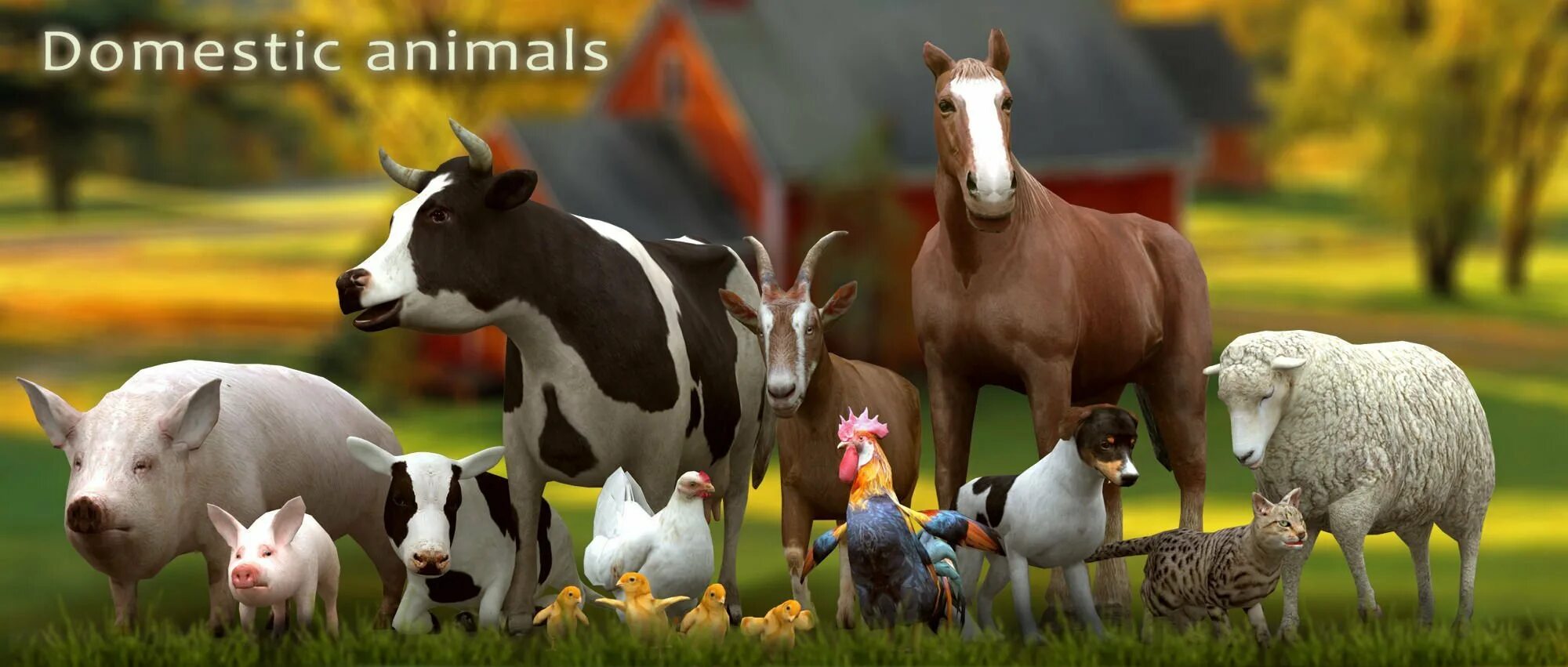 Сельскохозяйственные животные. Животные на ферме. СХ животные. Сельские животные.