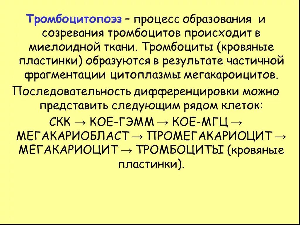 Образование тромбоцитов происходит. Тромбоцитопоэз. тромбоцитопоэз, его регуляция.. тромбоцитопоэз физиология. регуляция образования тромбоцитов.