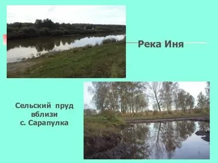 21 иня