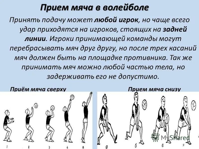 техника приема мяча в волейболе. верхняя прямая подача. техника выполнения передачи в волейболе сверху и снизу. техника выполнения приема мяча снизу двумя руками в волейболе. волейбол польем мяча сверху.