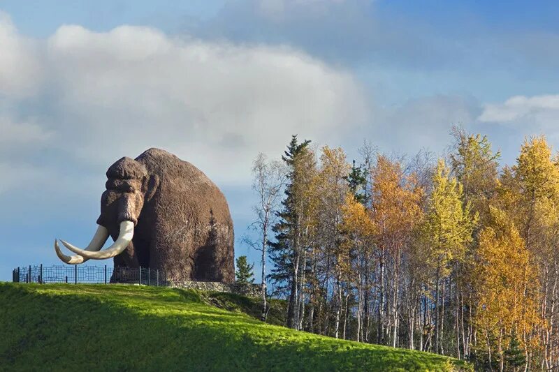 речпорт салехард. памятник мамонту в салехарде. речной порт ханты-мансийск.