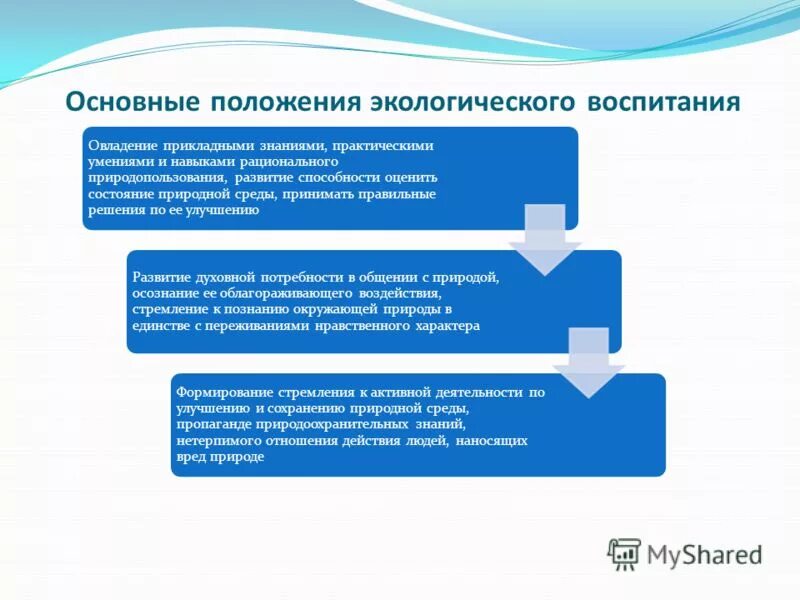 основные положения экологии