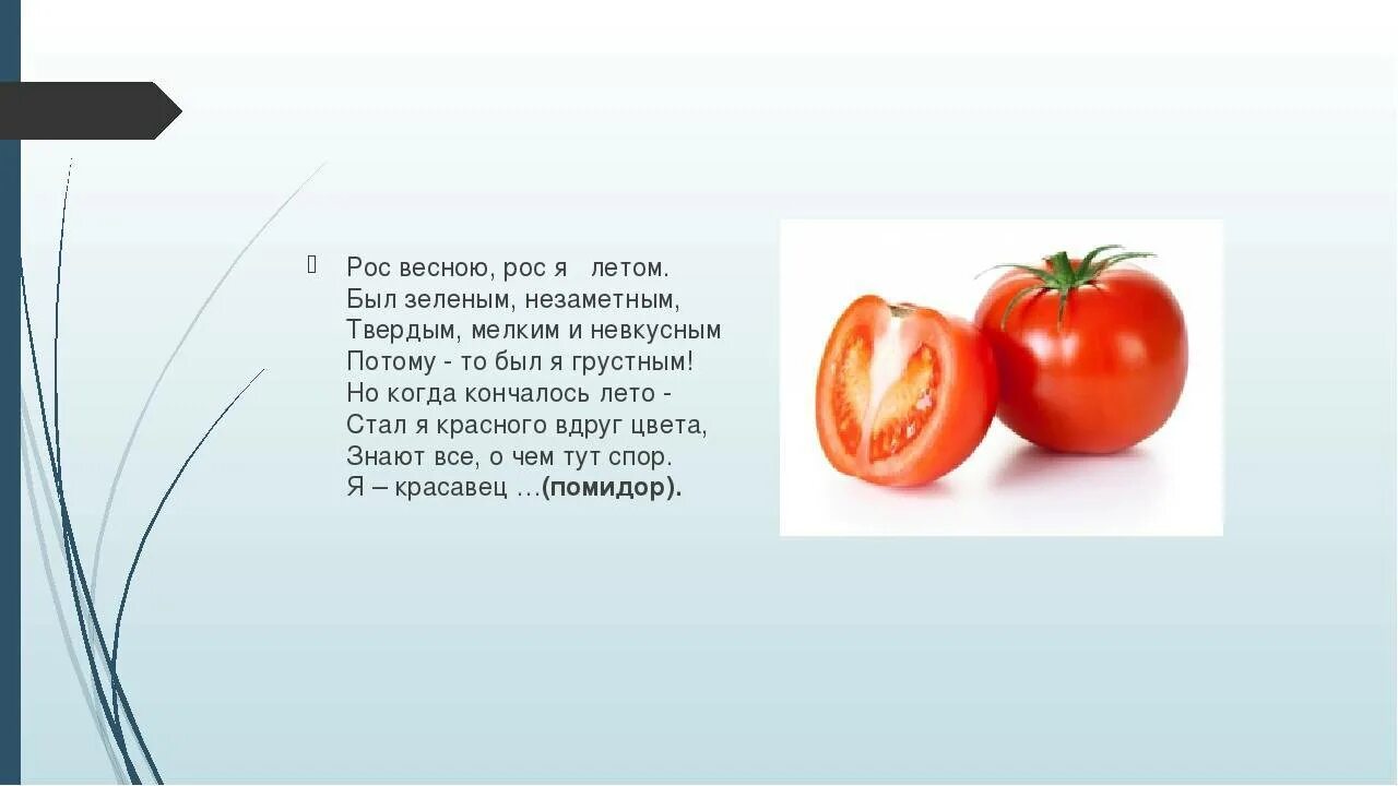 Почему помидор это овощ. Помидор это ягода. помидор это фрукт или овощ. помидор это ягода или овощ или фрукт. томат это ягода или овощ.