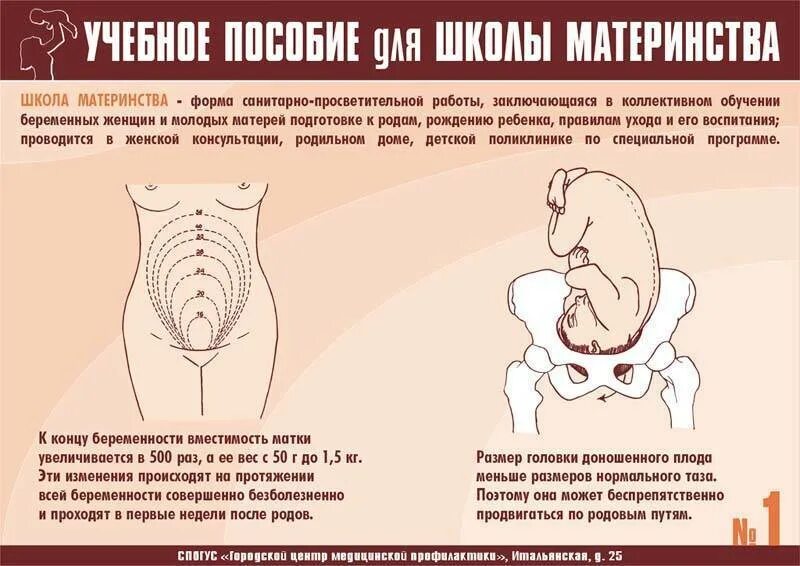 Высказывания про беременность. Памятка по психопрофилактической подготовке к родам. Как правильно дышать при схватках. Что чувствует женщина во время родов. Какую боль испытывает женщина во время родов.
