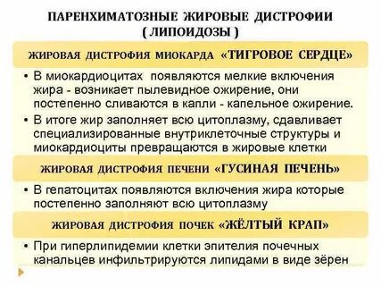 Причины паренхиматозной жировой дистрофии