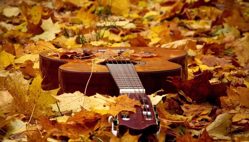 Грустные песни осени. Гитара в осенних листьях. Пианино и листья. Электрогитара в осенних листьях. Гитара осень листья.