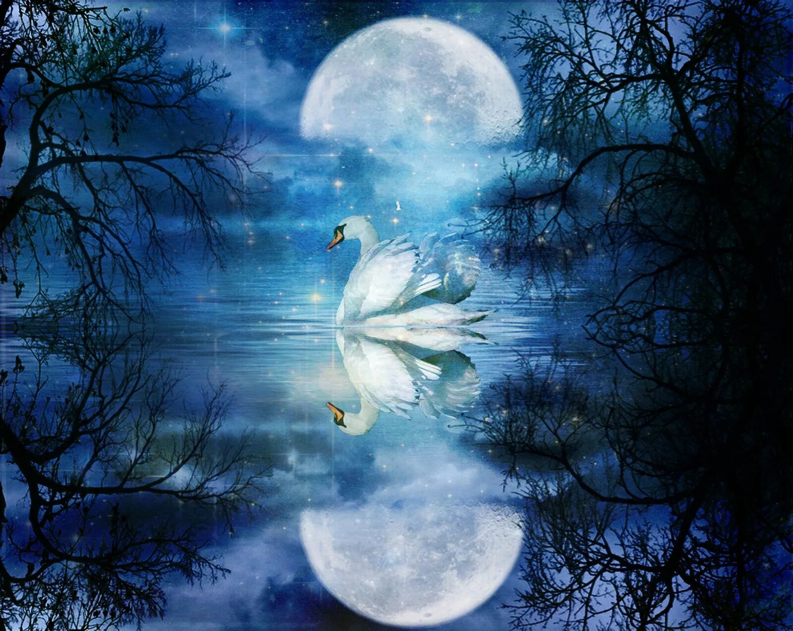 Чудесны лунные мартовские ночи сказочным кажется ночной. Луна и лебеди. Лунная ночь. Сказочная ночь. Сказочное озеро с лебедями.