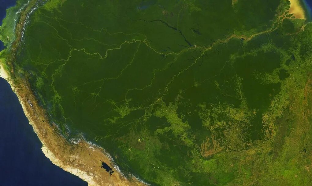 В какое море впадает амазонка. Залив ла плата. амазонка и атлантический океан. амазонка впадает в океан. впадение амазонки в атлантический океан.