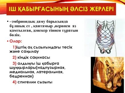 Семіз қыз бар түкті киска видео