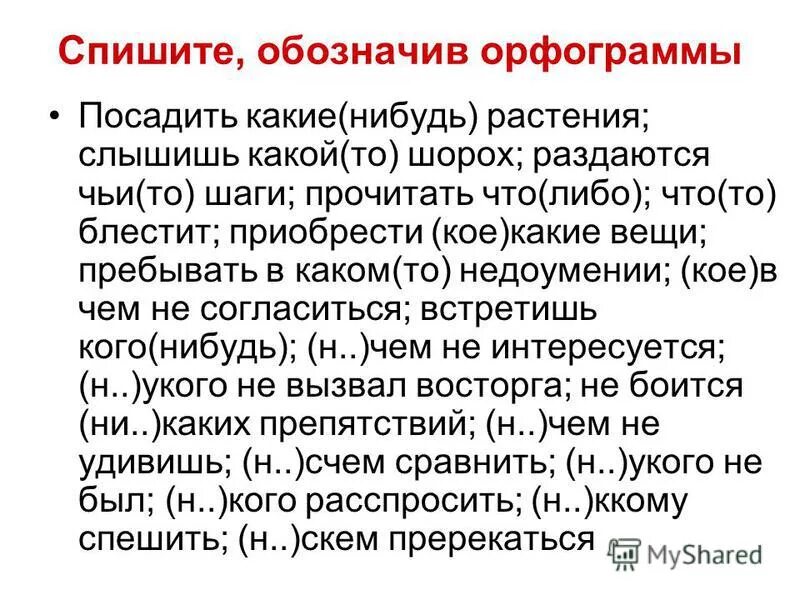 Посадить какие нибудь. Посадить какие нибудь растения. Местоимения с непроверяемыми орфограммами 6 класс. Непроверяемые орфограммы по теме местоимение 6 класс. Шорох орфограмма.