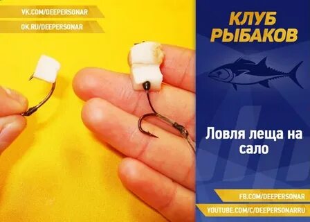 Лови сале