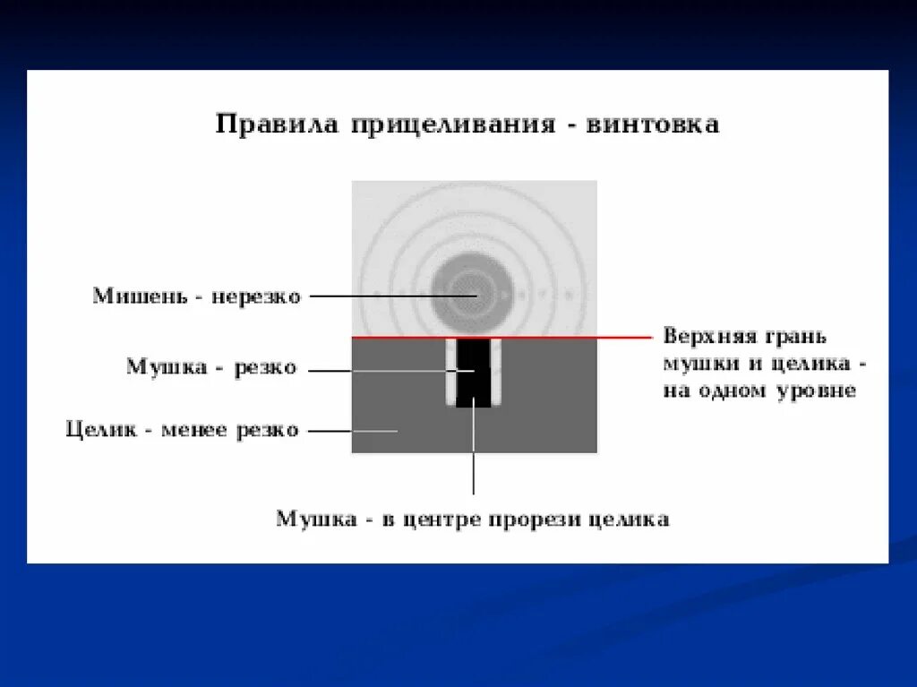 Зонах меток. Схема прицеливания пневматической винтовки. Как правильно стрелять из пневматической винтовки. Ровная мушка для прицеливания при стрельбе. Как правильно целиться и стрелять из пневматической винтовки.