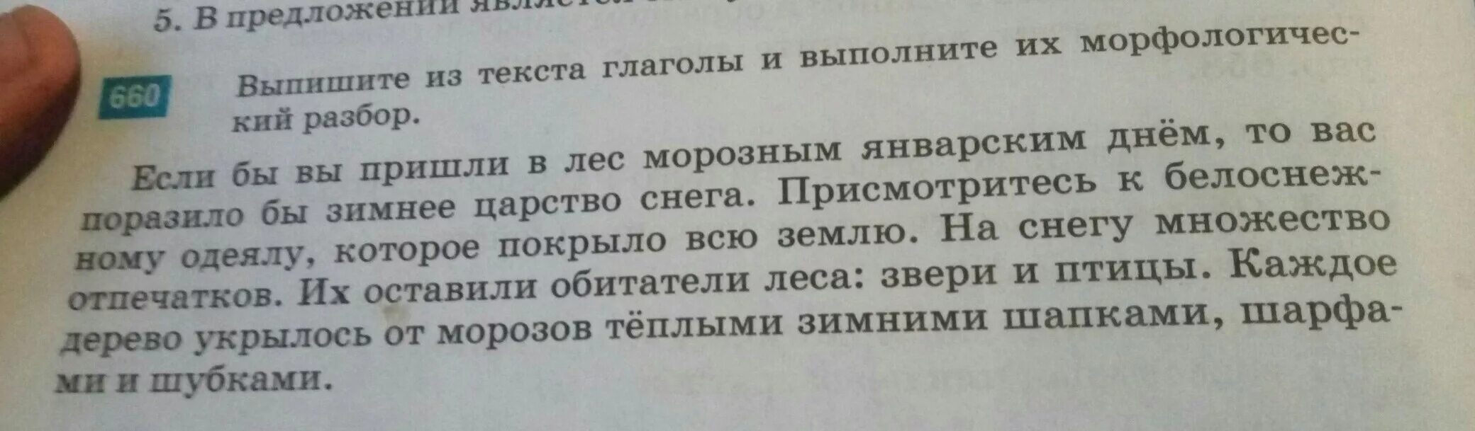 Текст с глаголами 5 класс. Выпишите из текста глаголы и выполните их морфологический анализ. Если бы вы пришли в лес морозным январским днем повелительный глагол.