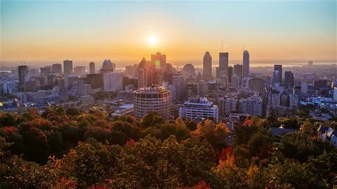 What attracted adam to living in montreal