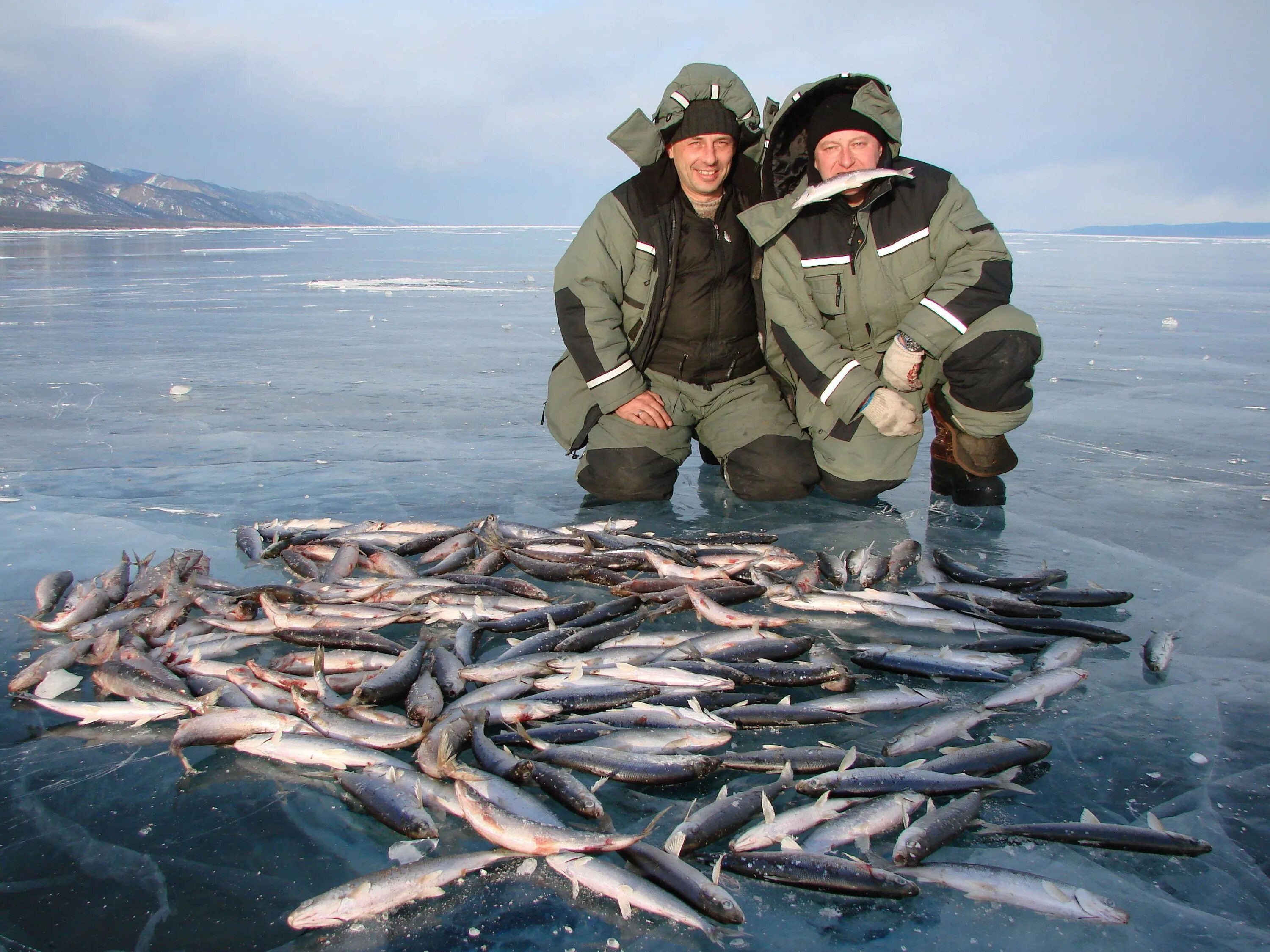 Омуль Байкальский зимняя рыбалка. Ловля омуля на Байкале зимой. Зимняя рыбалка на омуля на Байкале. Рыбалка на Байкале зимой на омуля. Сейчас рыбачить