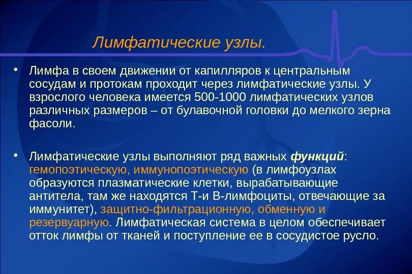 Как функцию выполняют лимфатические узлы Картинки 2 КАКУЮ ФУНКЦИЮ ВЫПОЛНЯЕТ ЛИМФА