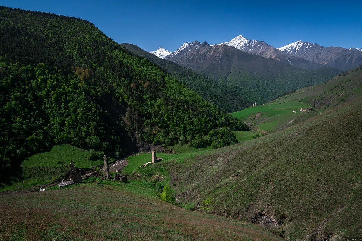 Башал
