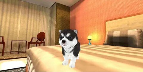 Собачка играет в игры
