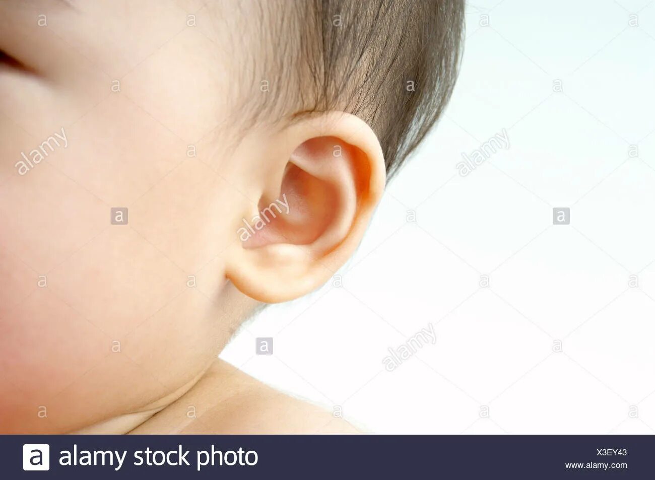 Ухо ребенка. Детские уши. Ушки для детей.