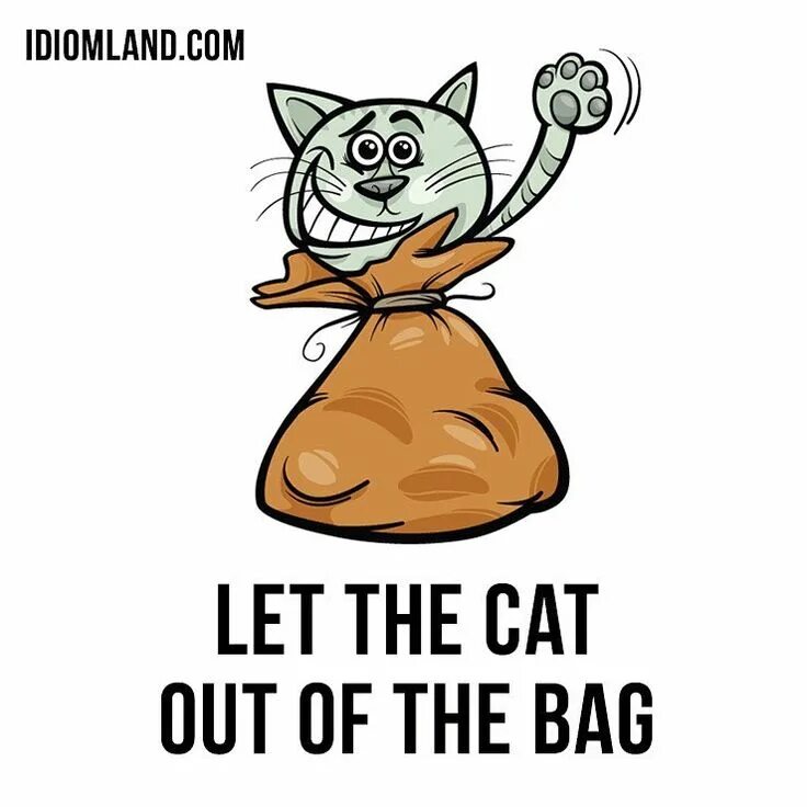 Lets cats. Let the cat out of the bag. The cat s out. Let the cat out of the bag. The cat is out of the bag.