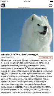Самоед откуда название
