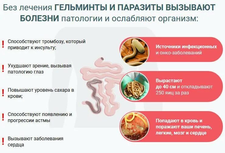 Симптомы паразитов у взрослого человека. Признаки глистных заболеваний. Заболевания вызываемые гельминтами.