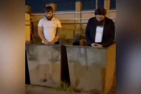 Кто рылся в мусорном ведре
