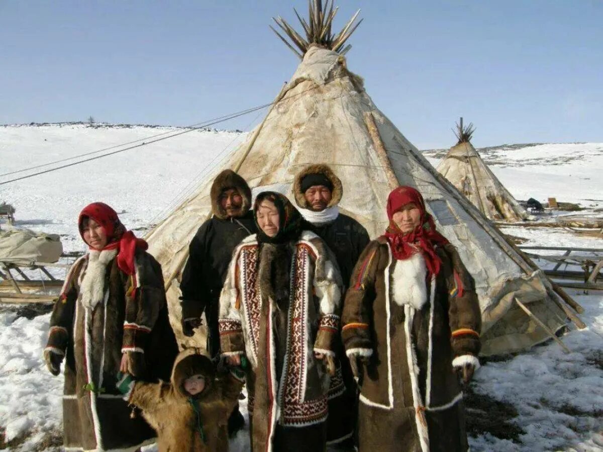 Народы тайги в россии. Ненцы Ханты манси. Ненцы Ханты манси чукчи. Якуты Ханты манси ненцы. Чукчи, Ханты, манси, якуты, ненцы.