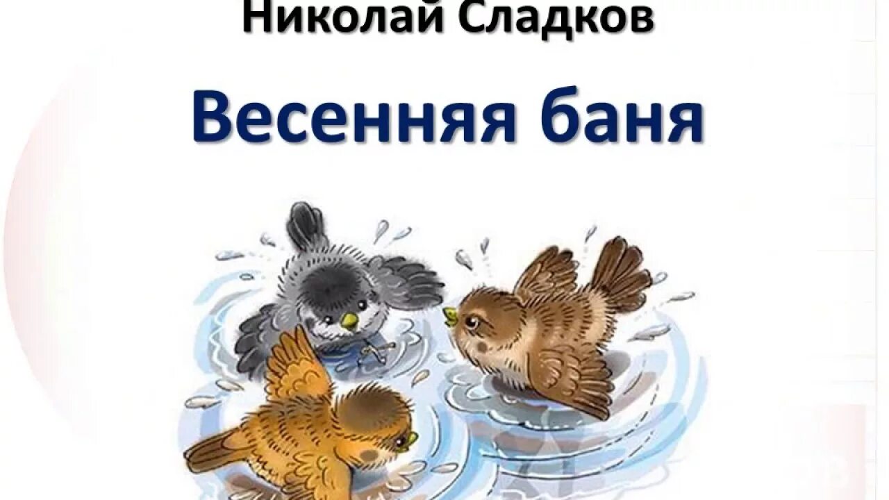 Н и сладков жизнь животных весной. Н. Сладкова «Весенняя баня». Презентация н.Сладков Весенняя баня. Сладков Весенняя баня текст.