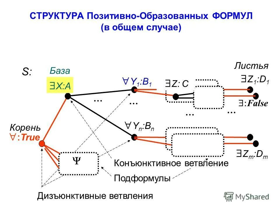 состав положительный
