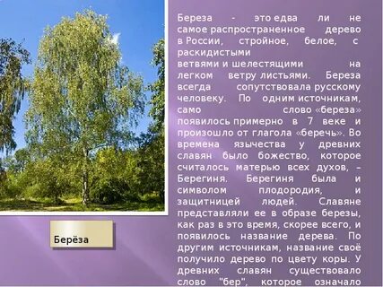Растительный мир реферат