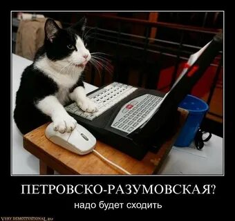 Не отпустили в туалет