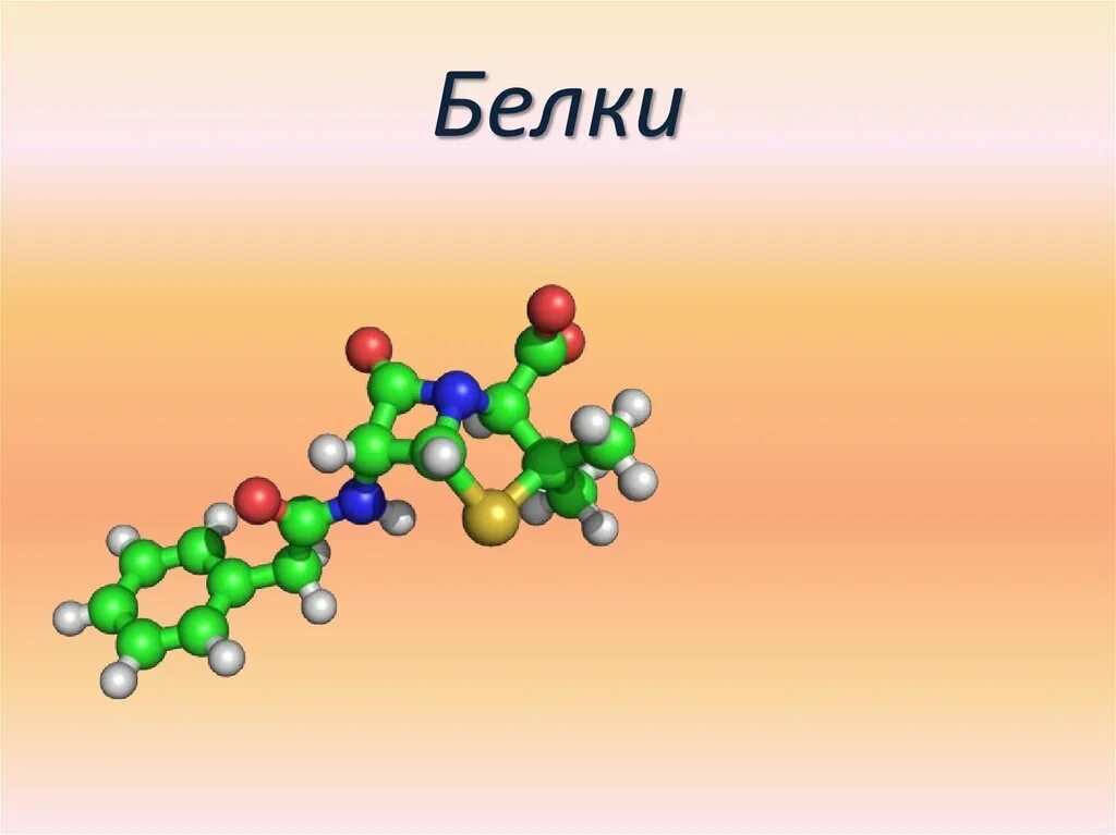 Белки 11 класс биология. Белки биология. Белки химия. Белки химия биология. Белки биология презентация.