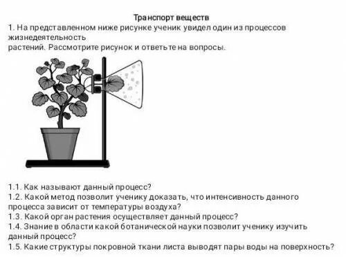 Опыты по биологии 6 класс впр. Процесс жизнедеятельности растений ВПР. Процессы жизнедеятельности растений в виде схемы. Схема процесса жизнедеятельности растений как называют. Ученик увидел один из процессов жизнедеятельности растений.