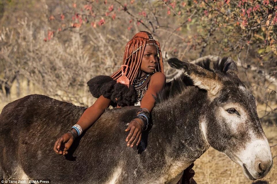 Племя Химба. Племя Химба женщины. Дикие племена Африки Химба. Химба Ангола. Самая дикая девушка
