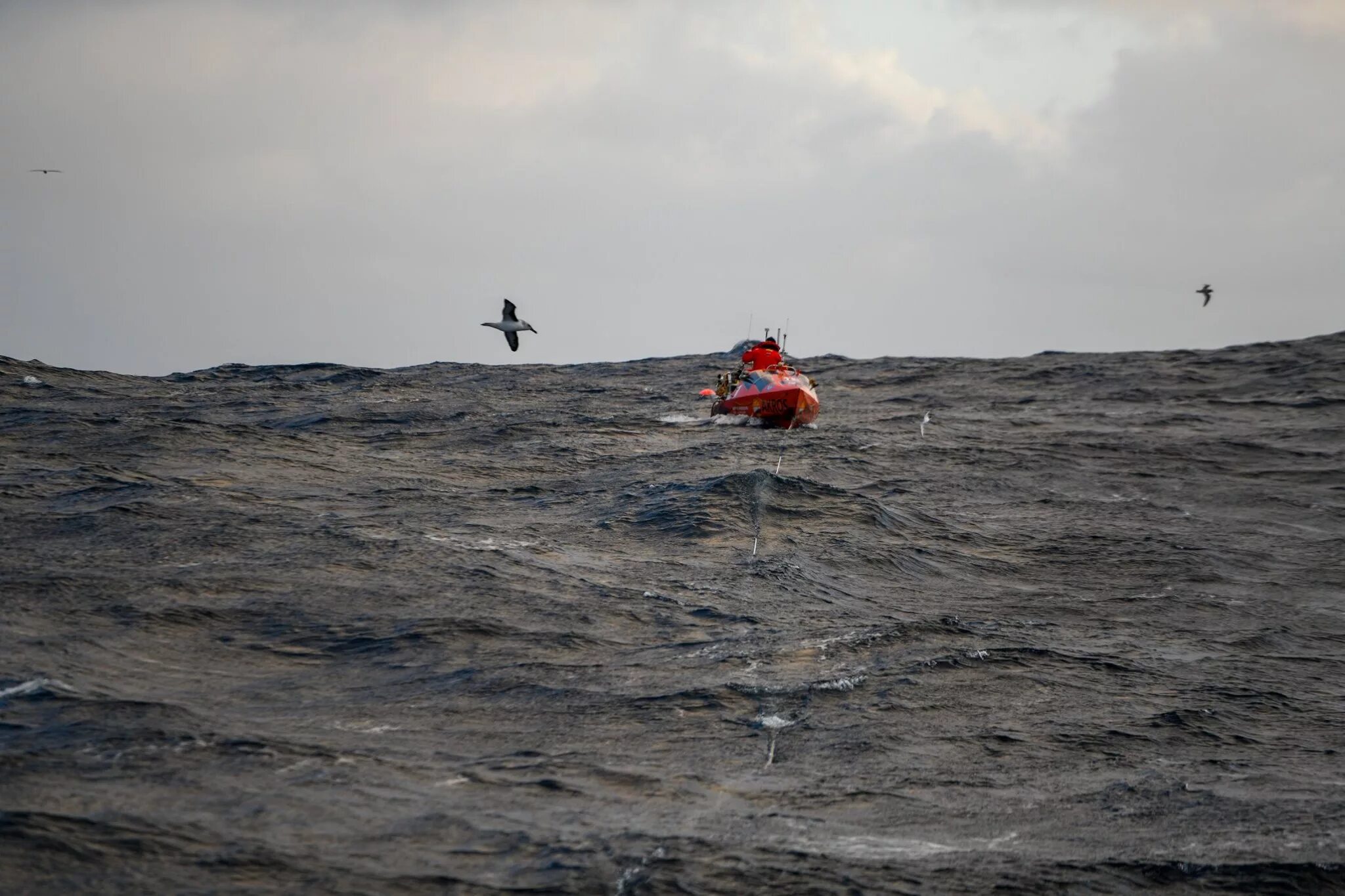 финский залив вода. французский путешественник жан-жак савен. юрий бурлака. француз пересек атлантический океан в бочке. федор.
