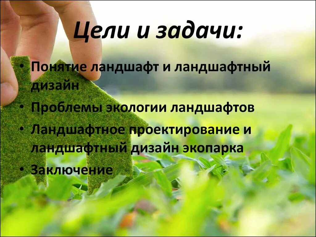 Задачи ландшафтного дизайна