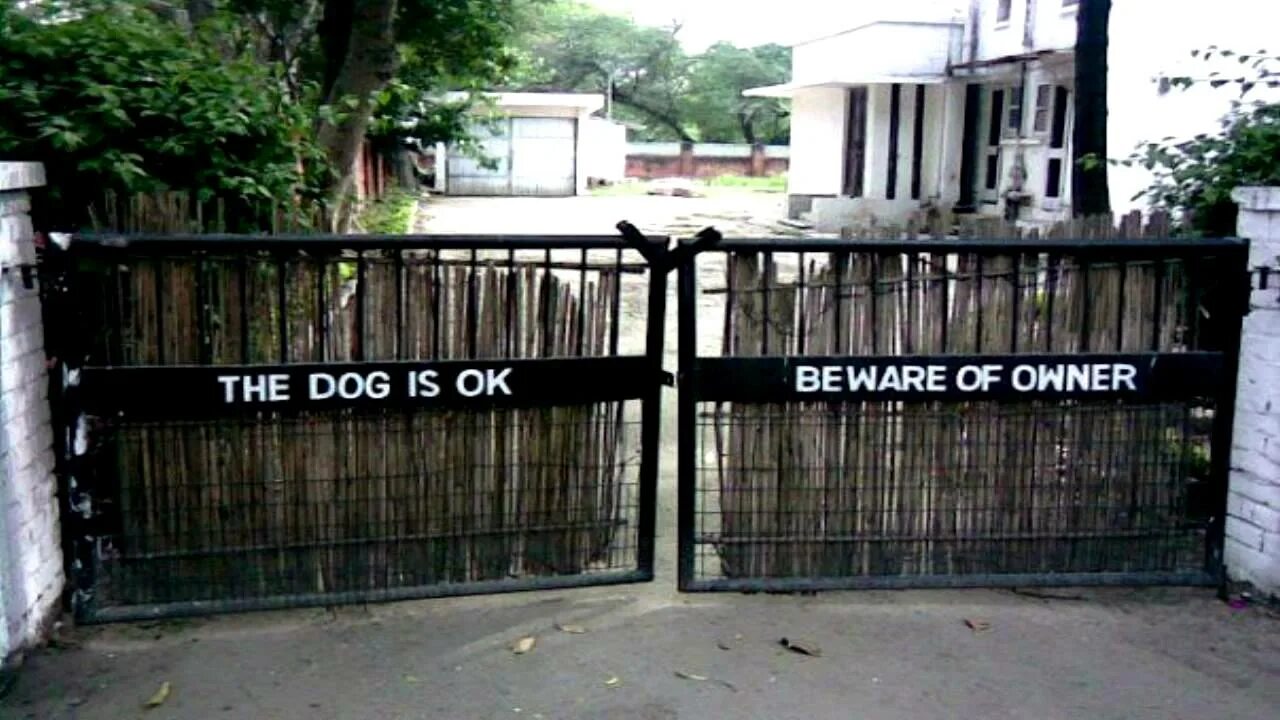 You are not the owner. Beware of the dog.