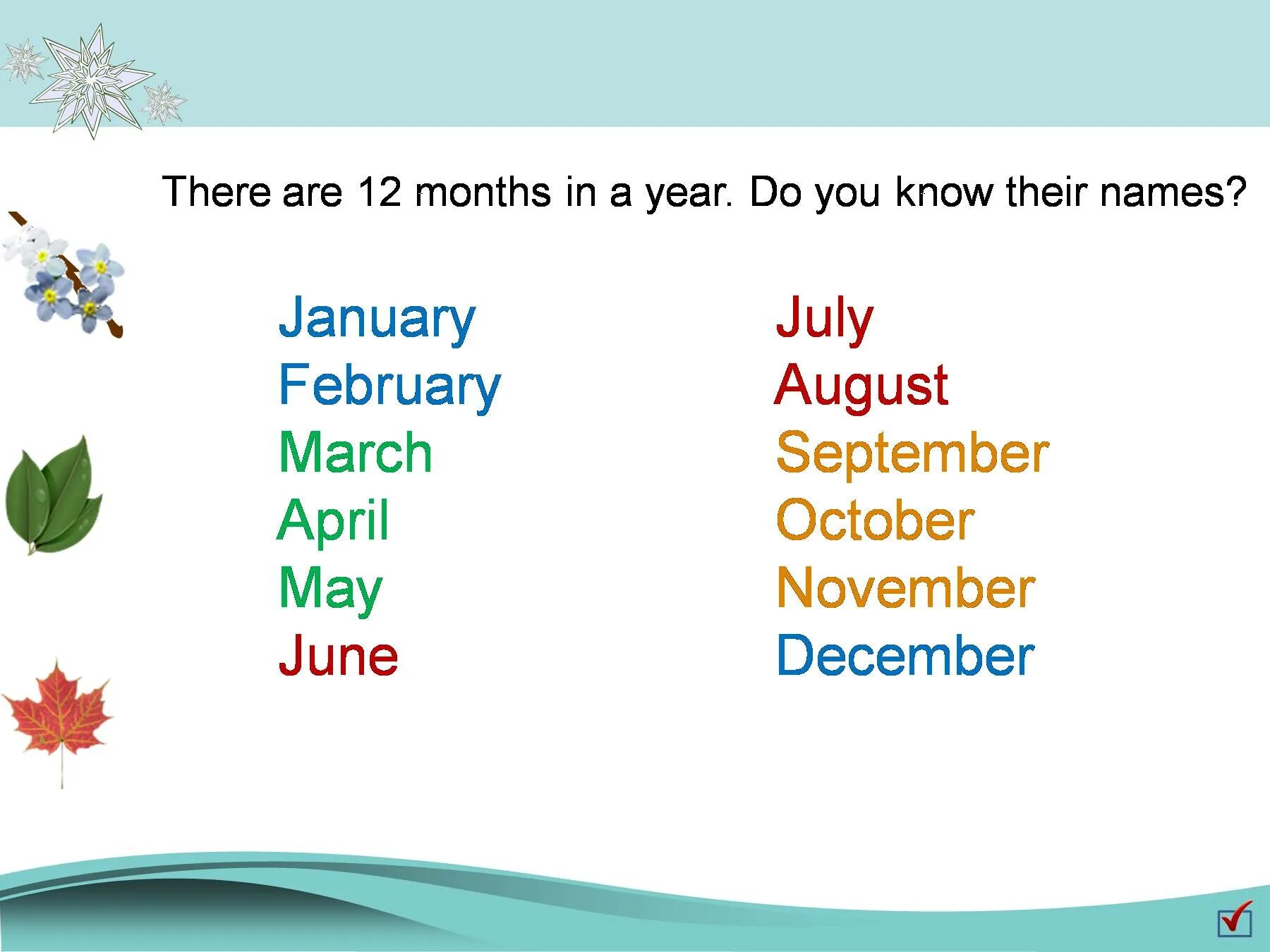 Months презентация. January February March April. 12 Months. Months in a year. February is month of the year