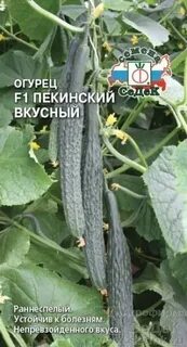 Огурцы пекинский
