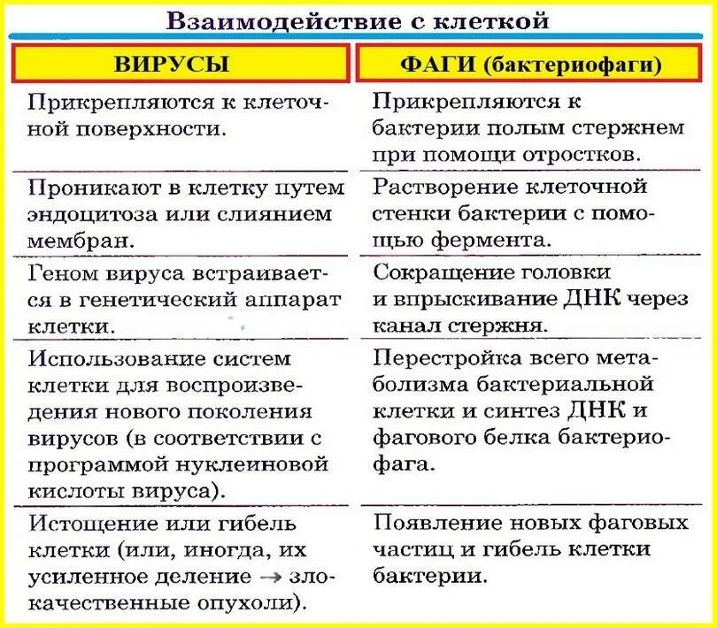 Стр сравнить