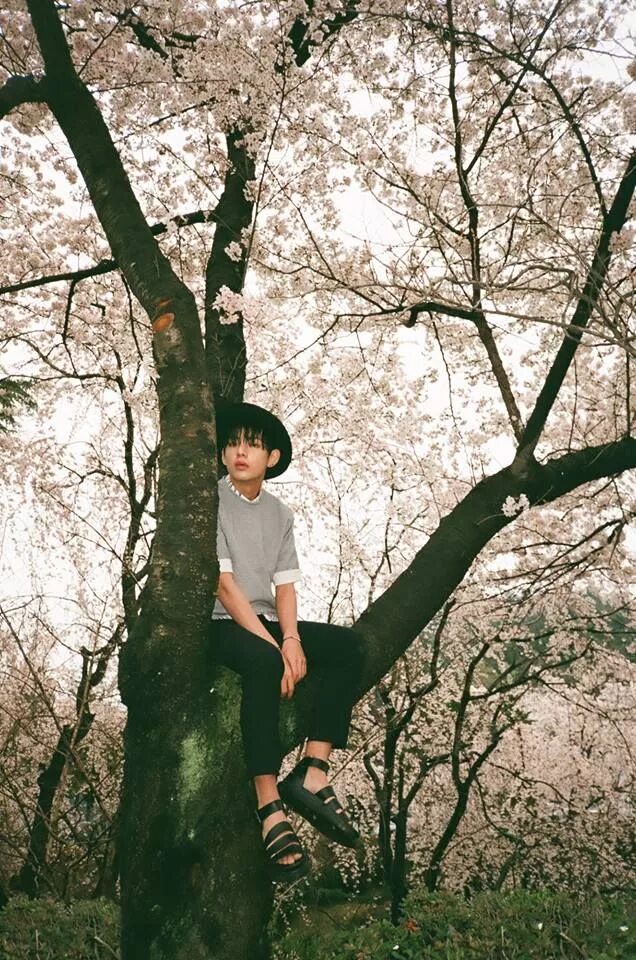 The most beautiful moment in life bts. Ким тэхен на природе. bts hyyh pt 1. бтс на природе тэхен. бтс эра hyyh тэхен.