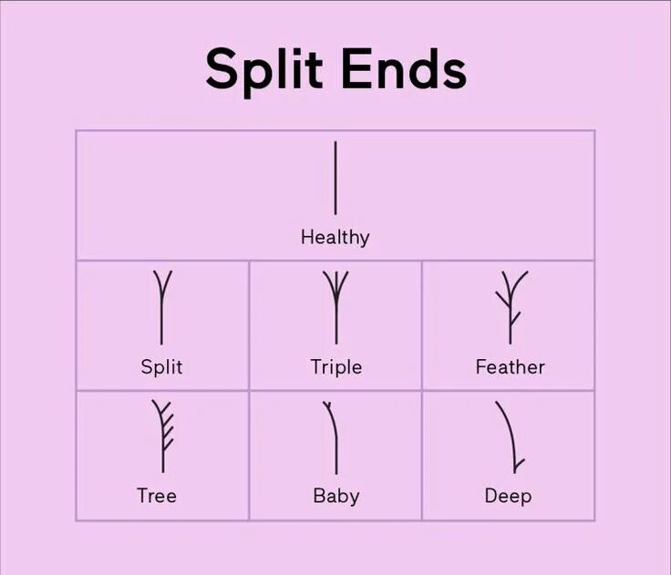 Wish split. Split ends. split split. types of split ends of hair. split 2 форма.