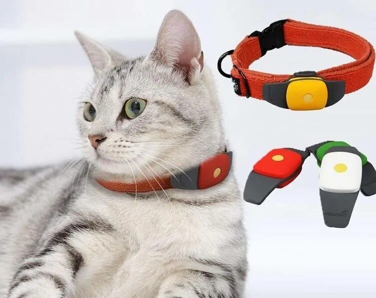 Ошейник маячок. Ошейник pet gps-трекер. gps трекер для кошек. gps трекер ошейник для кошки 2025 маленький. кошачий ошейник с gps трекером.